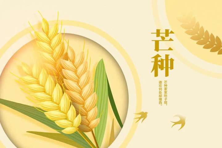 【九宫艾养生】芒种，阳气逐渐强盛，这样养生让身体“忙”而不乱