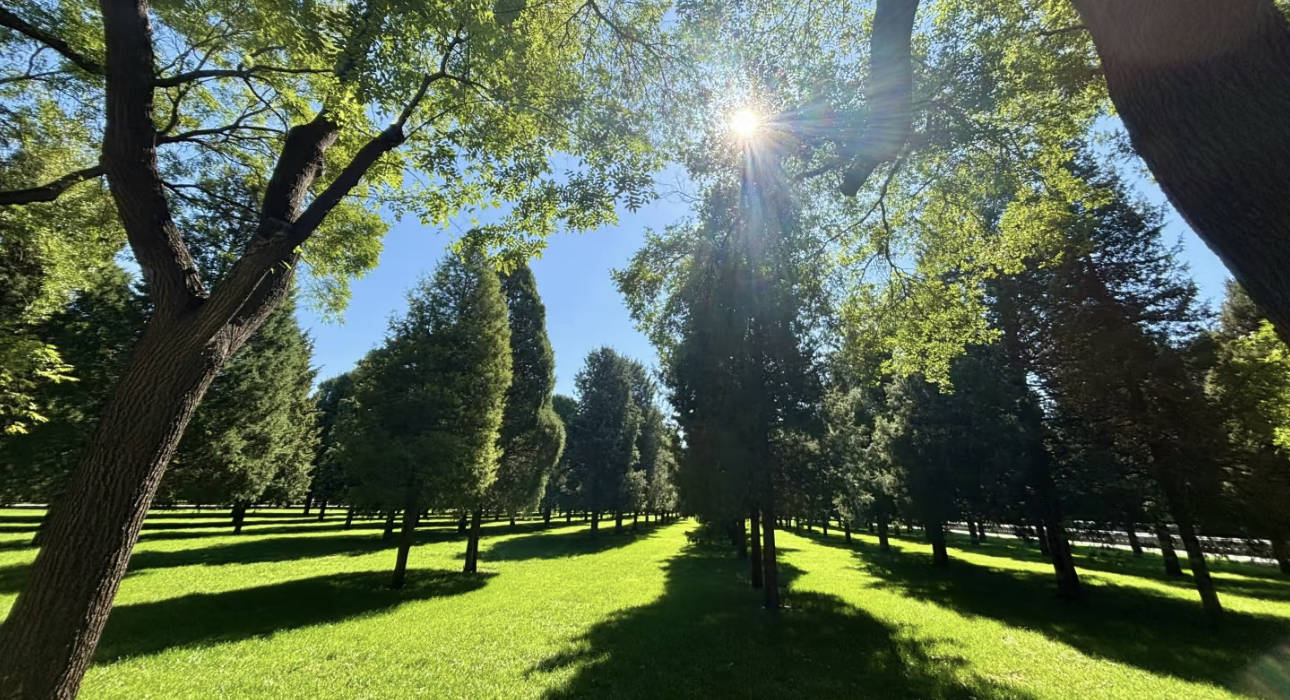 肌无力日常饮食？