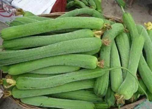 医生发现：经常吃丝瓜的肾病患者，用不了多久，或出现这4个改变