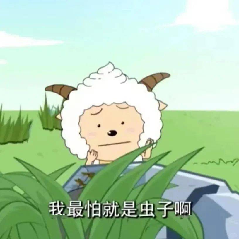 儿童口吐活虫？这个虫你家可能也有！