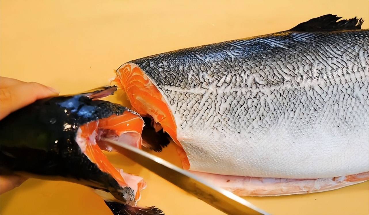 原创            人人都爱吃的三文鱼，原来“脂肪”含量真的很高？你相信吗？