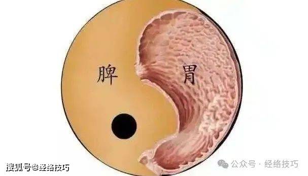 原创            揉按不容穴，推动胃气下行，改善胸口胀闷感