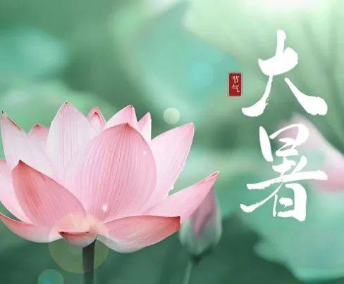 【汤医科普】大暑养生茶饮及穴位保健