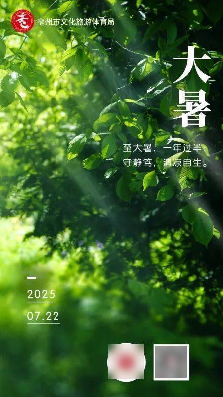 今日大暑！这株中草药自带满屏清凉 | 皖美夏日