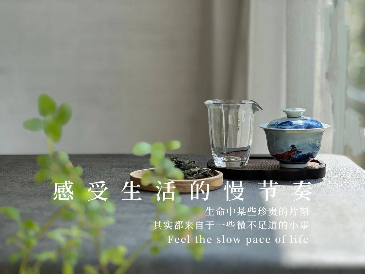 原创            不同体质的人如何选茶？7种体质的喝茶思路，总有1种适合你