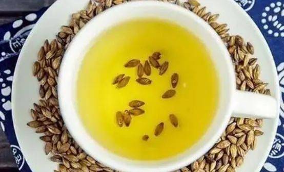 很多人减肥就喝大麦茶，但却不知道这些时候不宜喝！