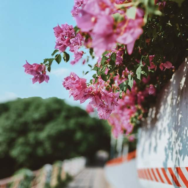 大暑至,湿热缠:古人养生智慧里的三伏生存指南