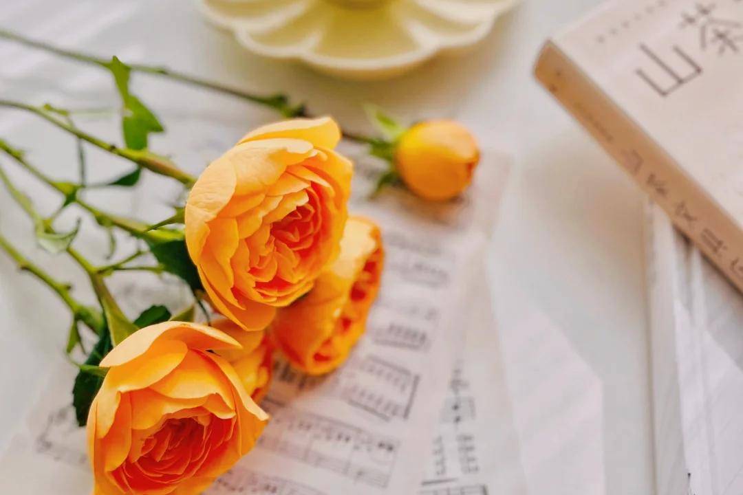 原创            男人“这样”问你，其实是在说：我想你了！别错过他的心意