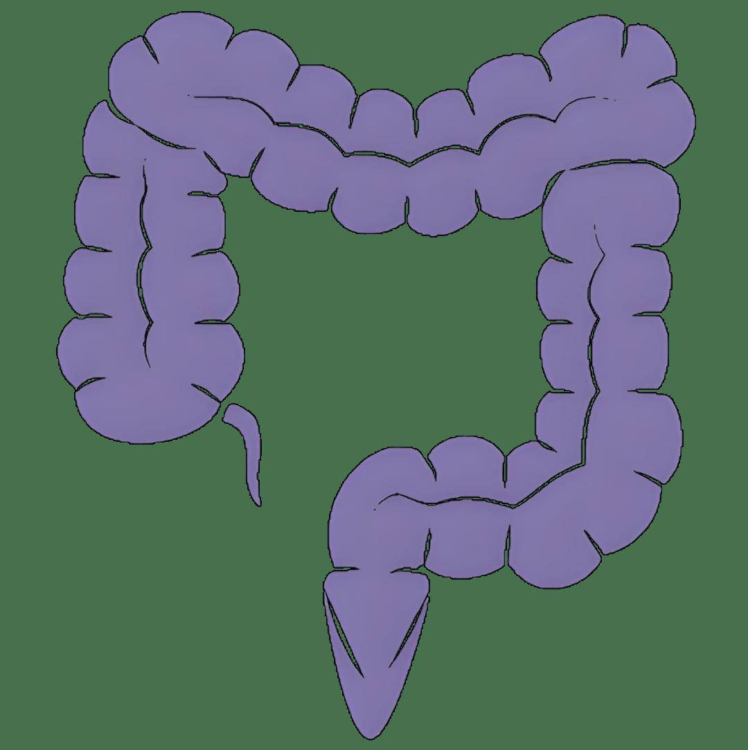 可增强化疗药物敏感性！苏州大学发文：结直肠癌有前景的治疗靶标