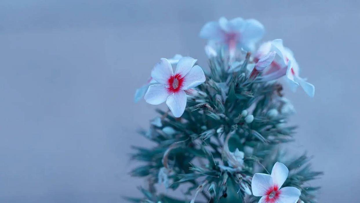 越是爱一个人,男人这三个反应就越强烈!