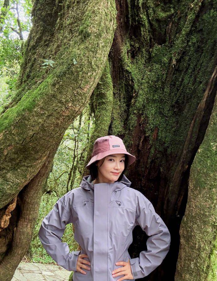 哀牢山环境超原生态，在这里徒步心情应该很好吧？