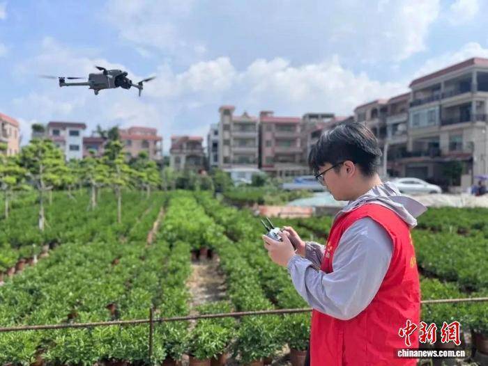 原创            佛山基孔肯雅热破3645例，无人机巡查+全民动员防控升级