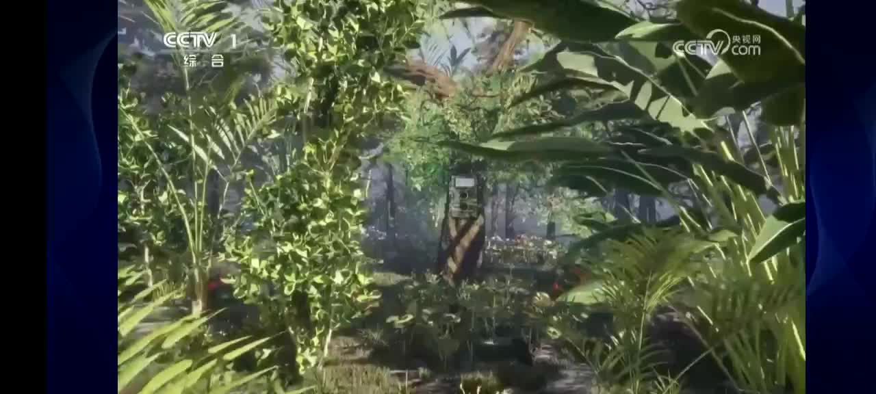 五峰后河保护区国家一级保护动物林麝再登央视《秘境之眼》栏目