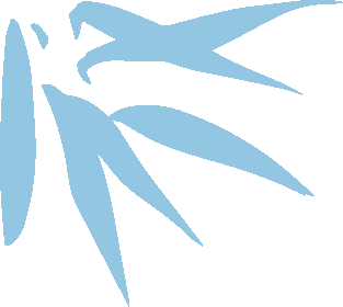 【活动】竹编扇DIY来啦！和爸妈一起编出二十四节气的小美好