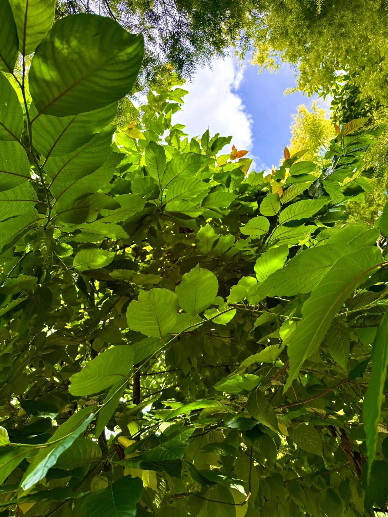 男人最掉价的10个行为