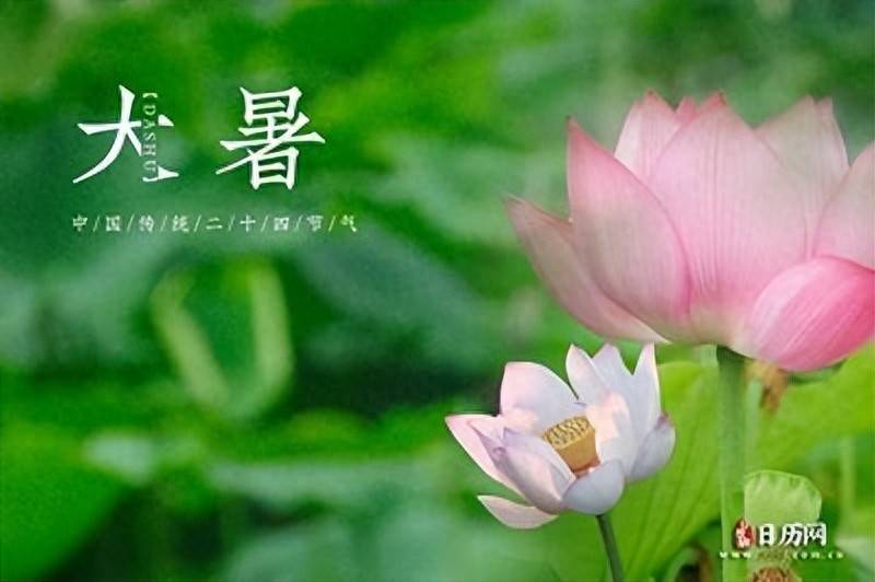 “大暑吃三宝，半年无病扰”，明日大暑，是指哪3宝？早知早受益