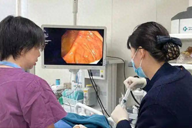 医生研究发现：有肠息肉若无这4种情况，可以安心，恶变风险不大