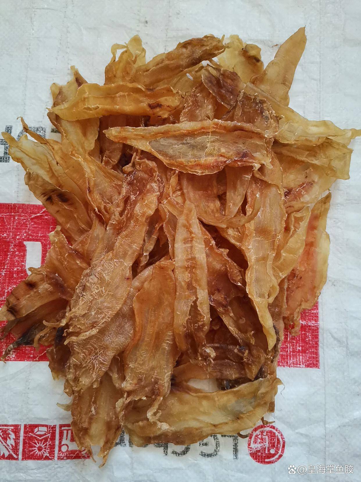 燕窝和鱼胶哪个抗衰老？