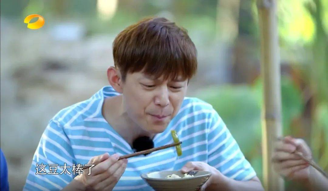 何炅的家底，都被扒出来了