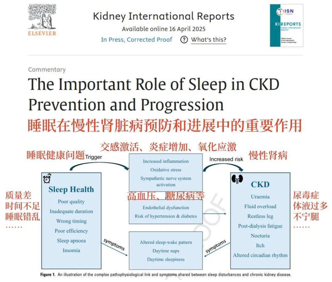 长期从事这4类工作的人，肾功能衰退风险大大增加