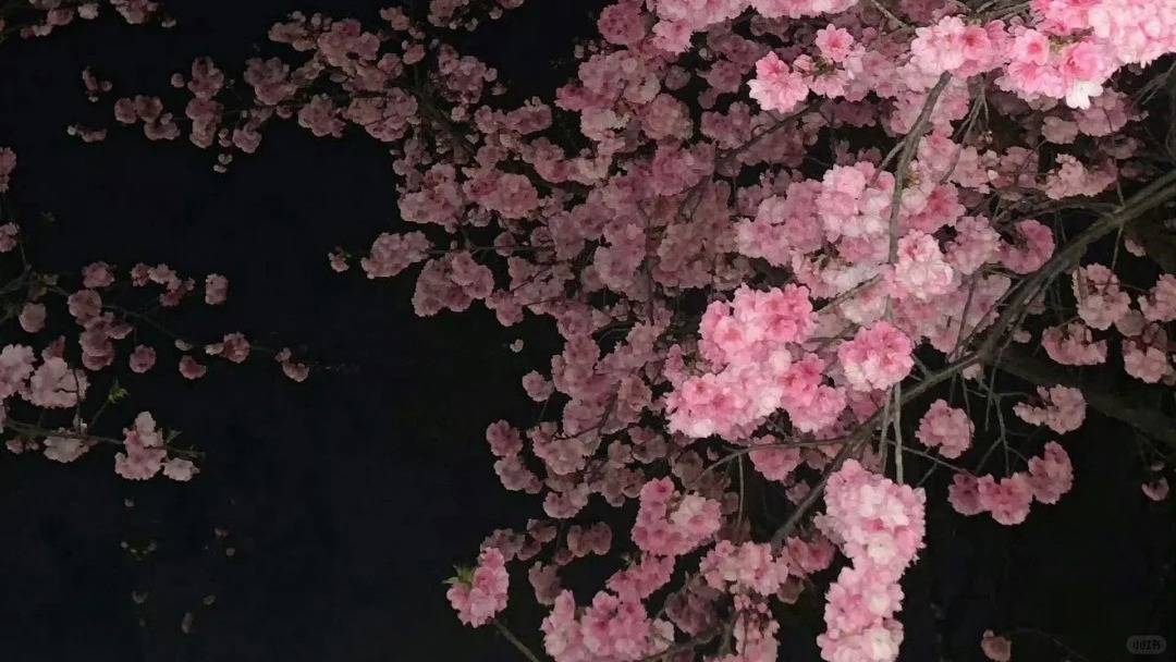 《当幸福来敲门》：一个人如何面对人生低谷？