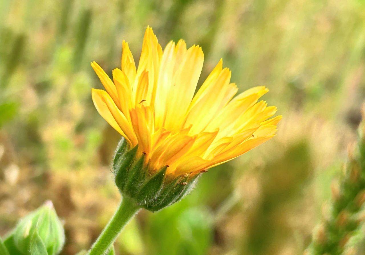 原创            发现男人背叛，想挽回的话，原配要知道的点