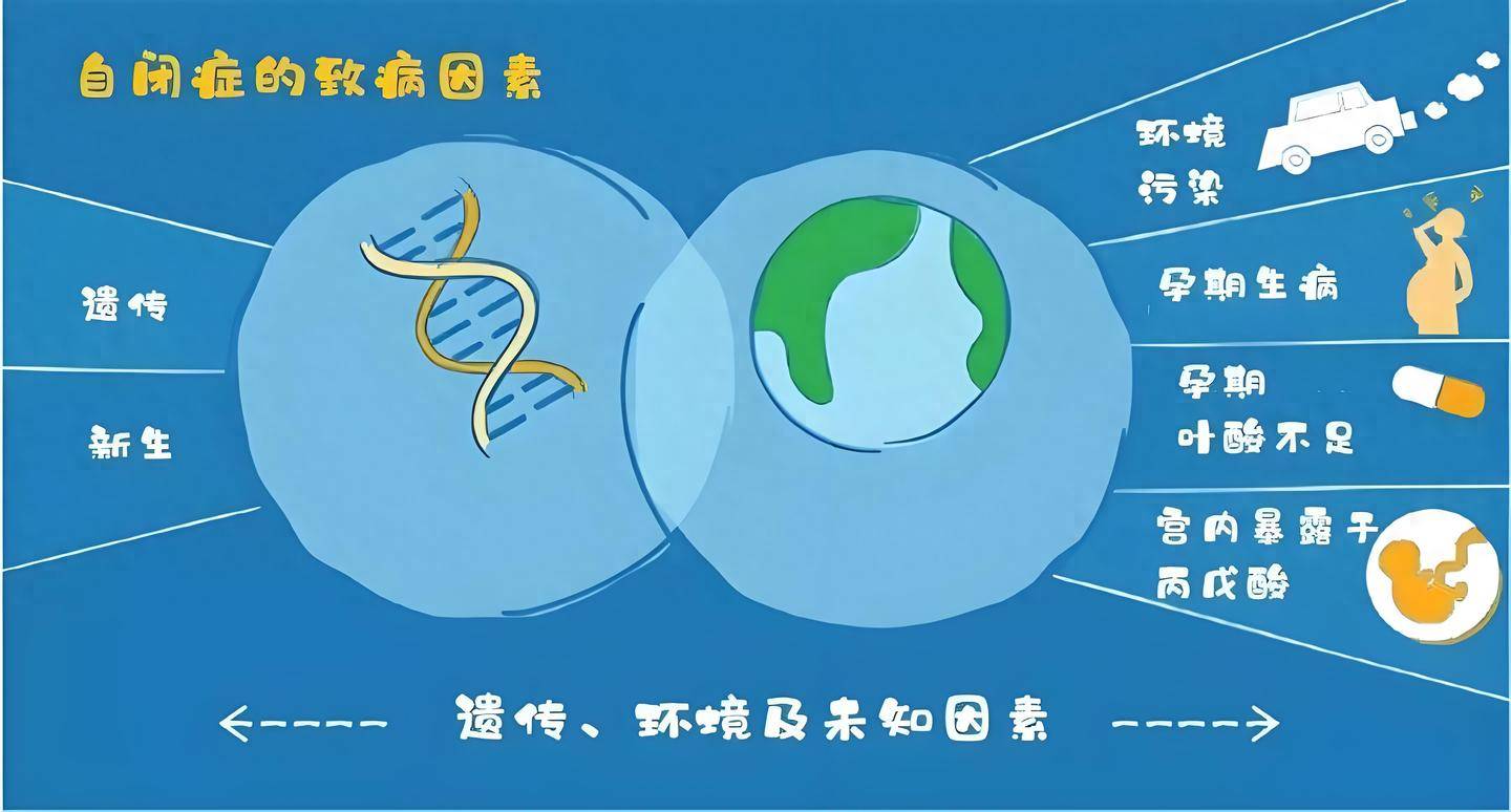 生物干预 —— 破解自闭症与肠道过敏的关联密码