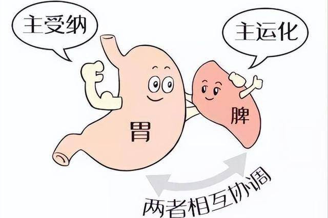 脾虚不要过度治疗，记住这个小方子！疏肝健脾，补肾祛湿还不上火