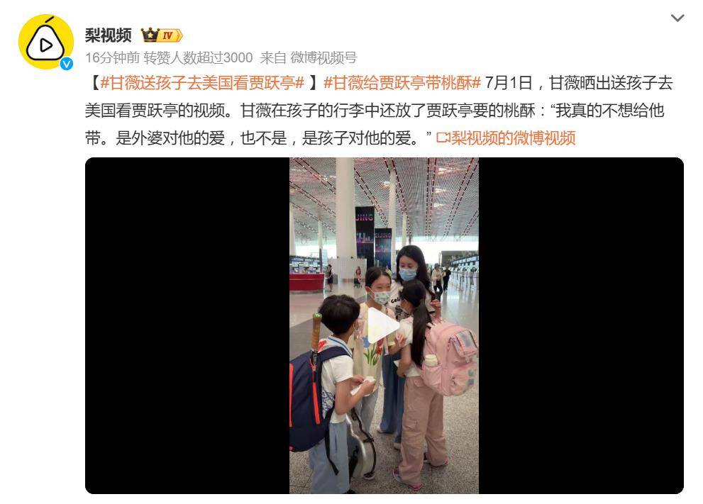 原创            甘薇送孩子去美国看贾跃亭，网友：老赖不是下周回国吗？