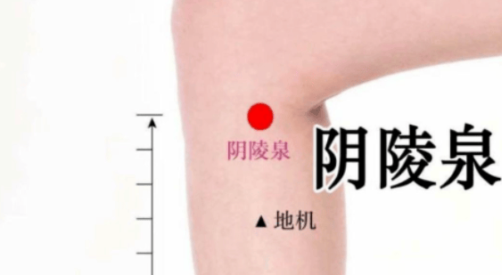 天热多拍两个“祛湿口”，一个排湿、一个化湿！湿气哗哗流出去！