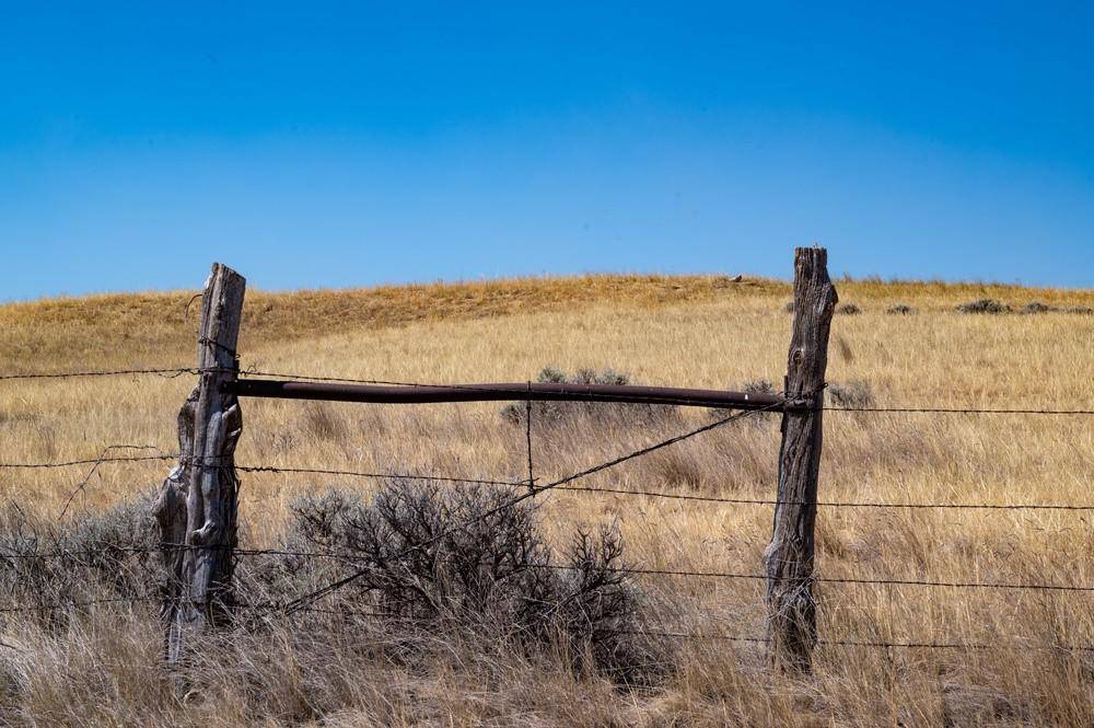 贵州一男子误触捕杀野猪装置被电身亡 亲属：是高约10厘米的铁丝网，救人时被电的
