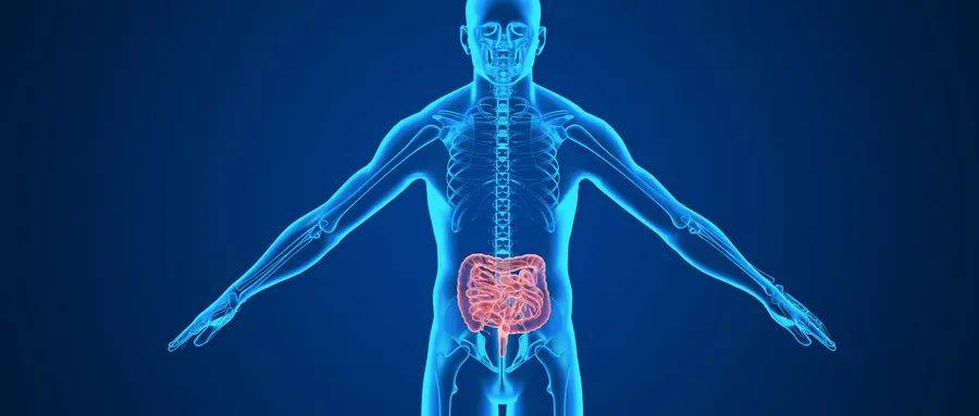 肠道排毒的7大好处，您知道吗?