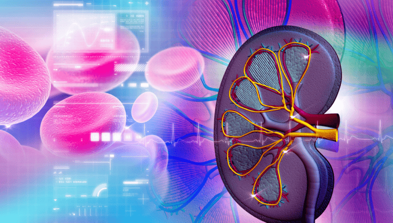 肾脏的求救信号：喝水后出现这4个异常，需警惕！