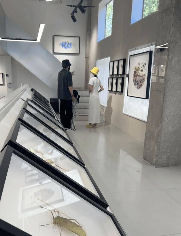 唐艺昕一家三口看艺术展，5岁女儿好瘦长到爸爸腰部，很黏张若昀