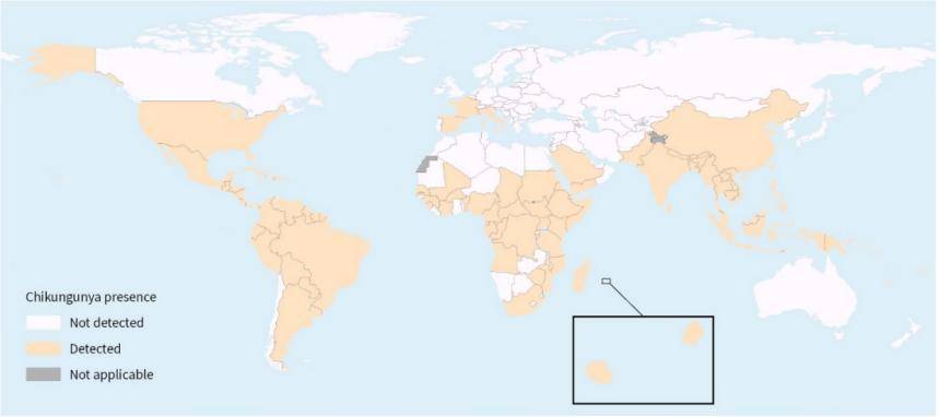 这也热，那也热，基孔肯雅是啥热？一文带你读懂它