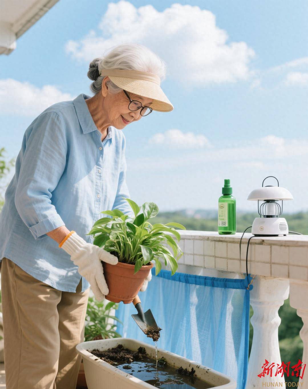 登革热的预防识别与应对