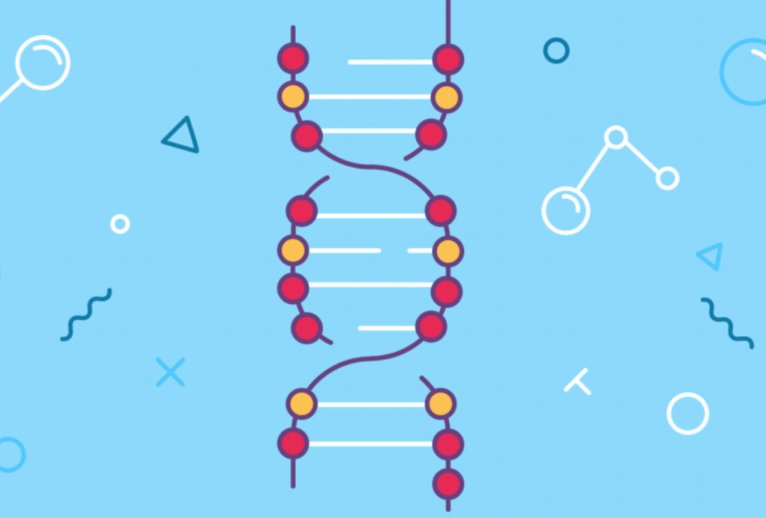 染色体异常如何生育健康宝宝?
