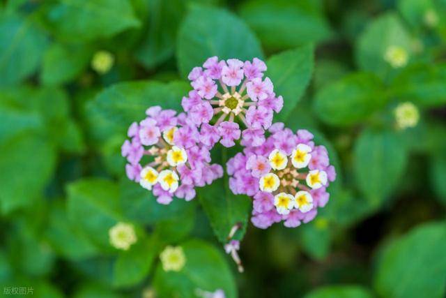 跟你说句实话！男人不善待老婆，嫌弃她，会有一个细节很明显