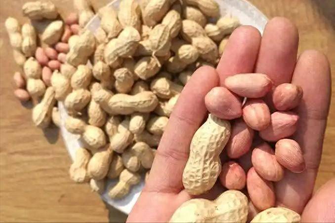 花生再次被关注！医生直言：糖尿病人常吃花生，或收获3个好处