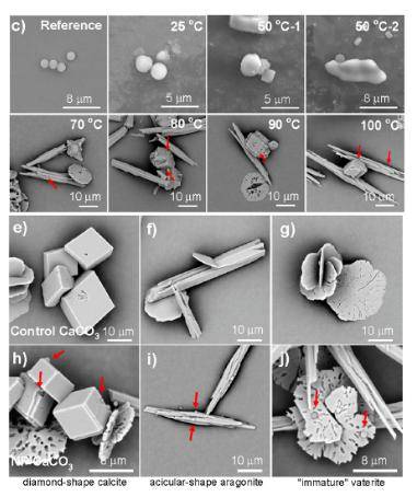 长期烧水喝和买桶装水喝，哪种更健康？