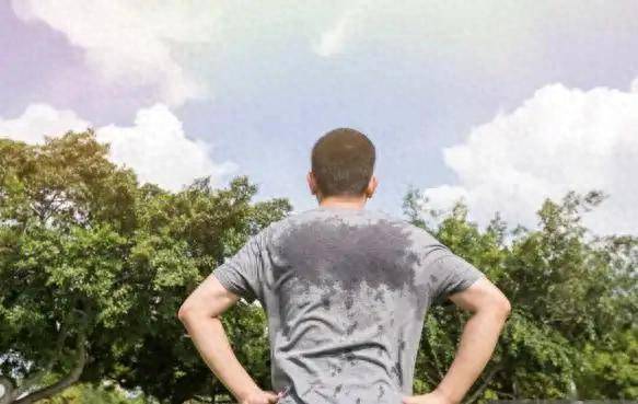 三伏天不要太节俭，劝告：上年纪多吃3种高蛋白食物，轻松过苦夏