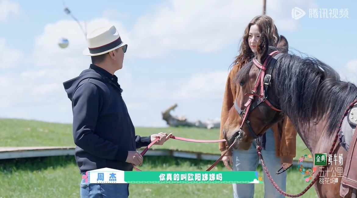 原创            《五十公里桃花坞5》还是老坞民有意思，周杰刚回归，就有2大笑点