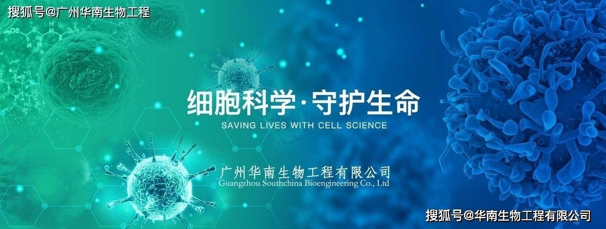 基孔肯亚热病毒抗体检测试剂盒（胶体金法）