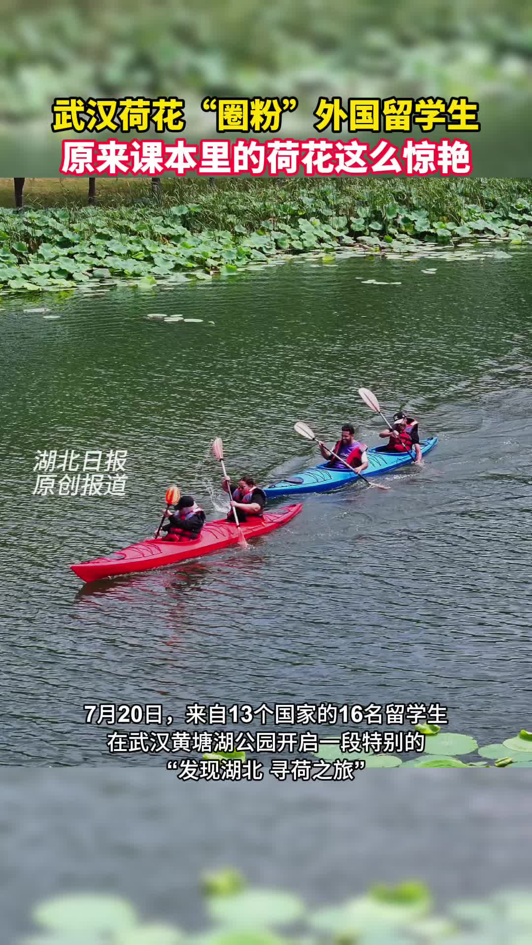 武汉荷花“圈粉”外国留学生