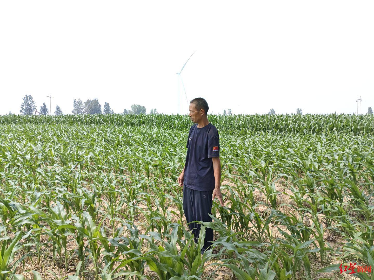 陈行甲新书签售会上的“工地大叔”：一个爱看书的农民，被人意外发现丨在场