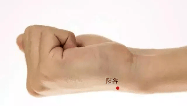 手上有个“不老神穴”！每天揉50下，阳气升了，人年轻了，身体更棒了