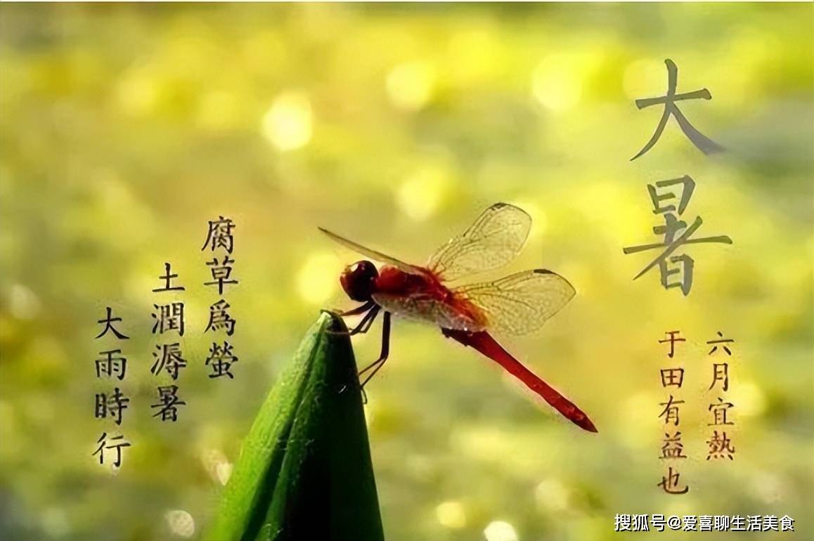 原创            大暑将至，牢记“1不洗，2不做，3不吃，吃4样”，舒舒服服过三伏！