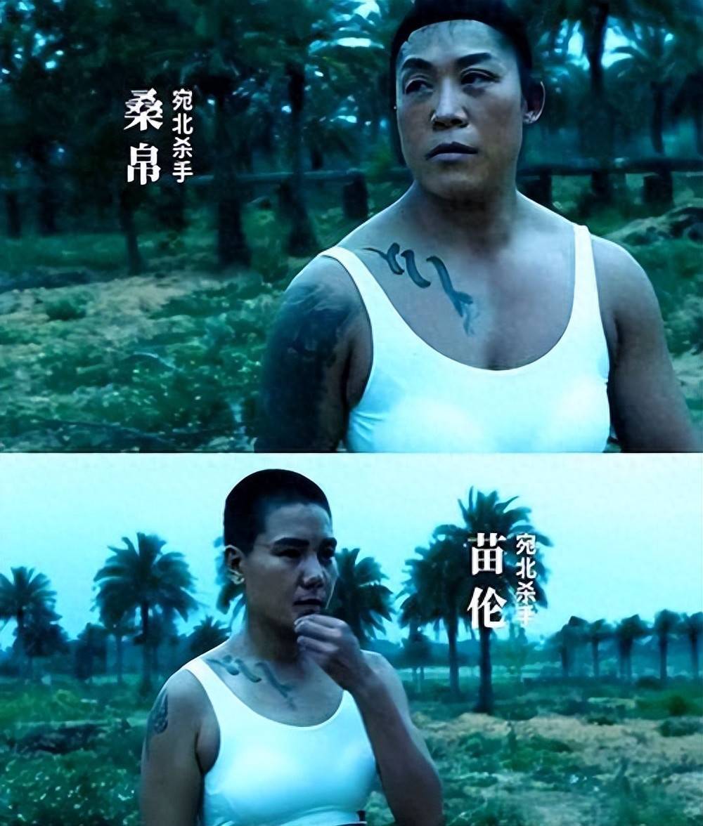 原创            《扫毒风暴》两女杀手火了！健美冠军和成龙女弟子，男人自愧不如