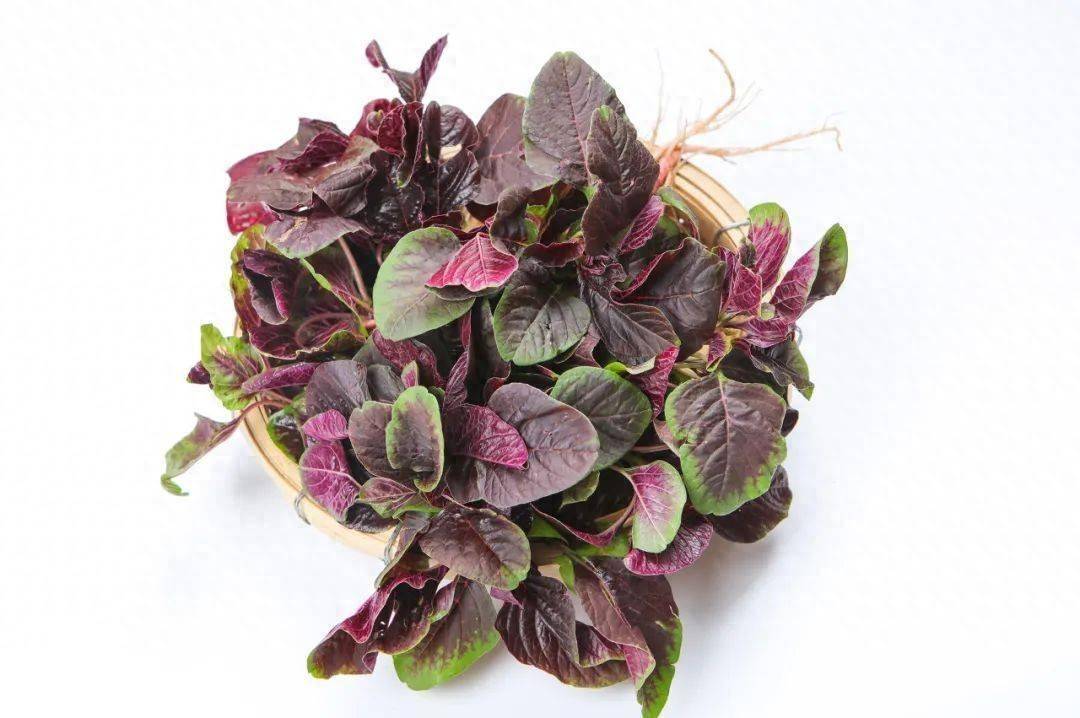 它是“平价护眼菜”,越吃眼睛越明亮!还能补钙、抗衰,正上市!