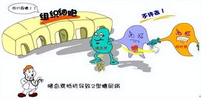 糖尿病与心脏健康：紧密相连的命运